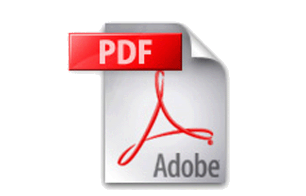 PDF Bild Homepage
